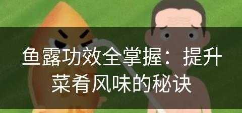 鱼露功效全掌握：提升菜肴风味的秘诀